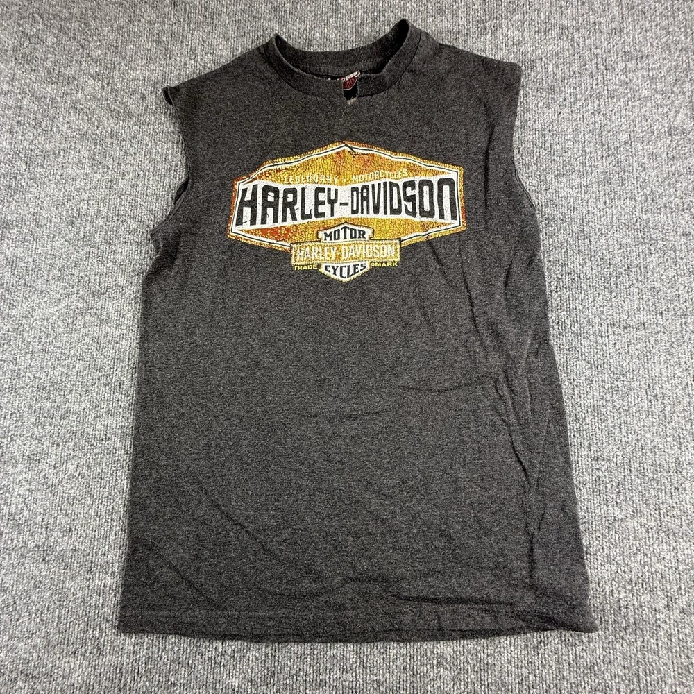 Harley-Davidson Shirt Mens Medium Gray Waterford Ireland Graphic Tank Cutoff Tee